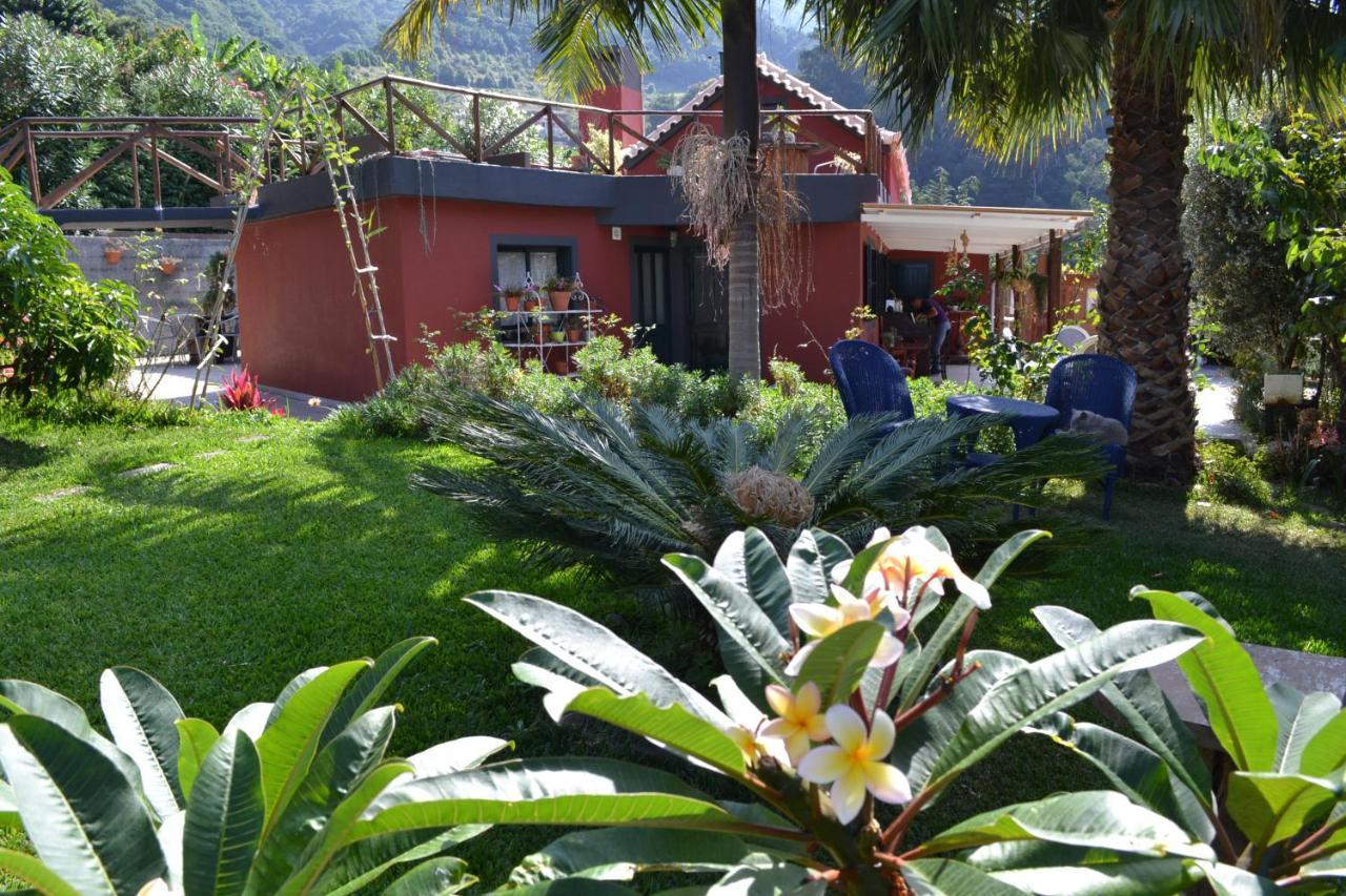 Maderedocevida Bed & Breakfast Boaventura Exterior photo