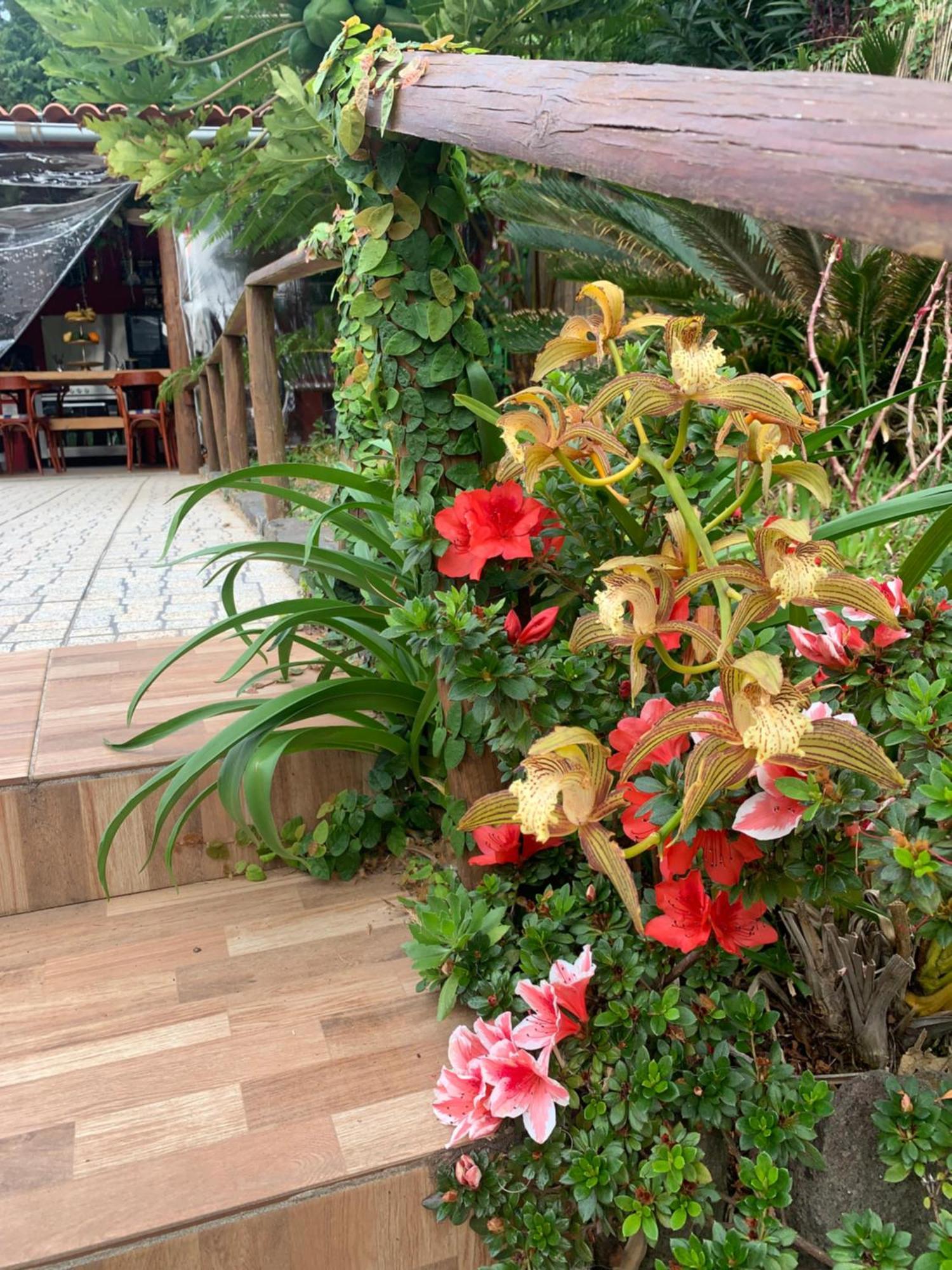 Maderedocevida Bed & Breakfast Boaventura Exterior photo